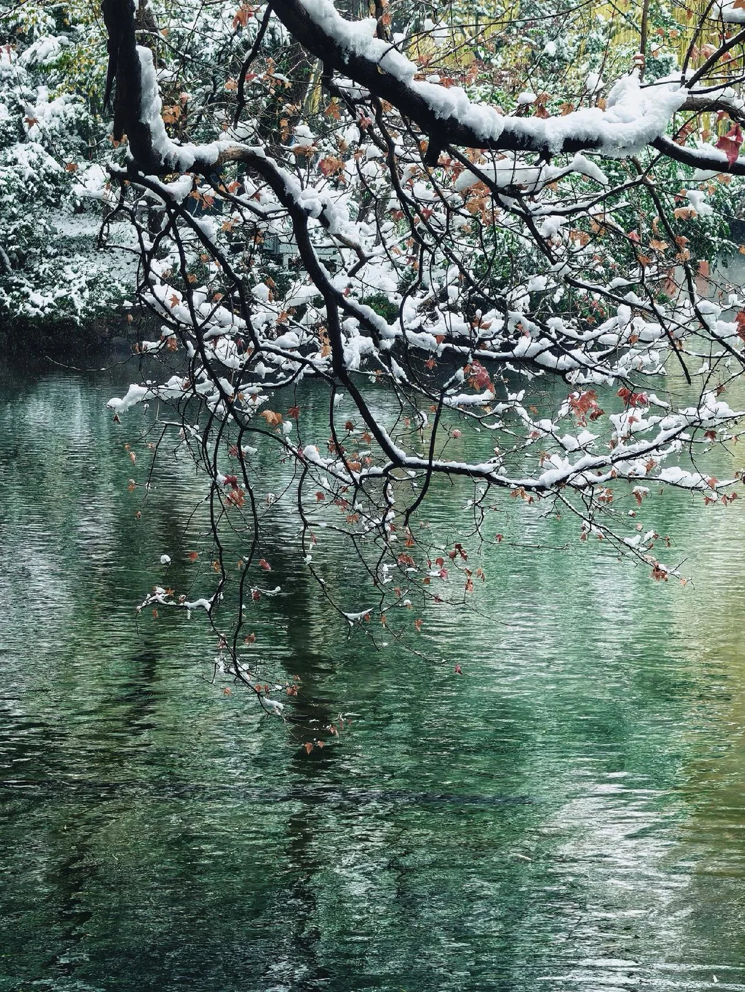 济南❤预报12月23号又要下雪喽～