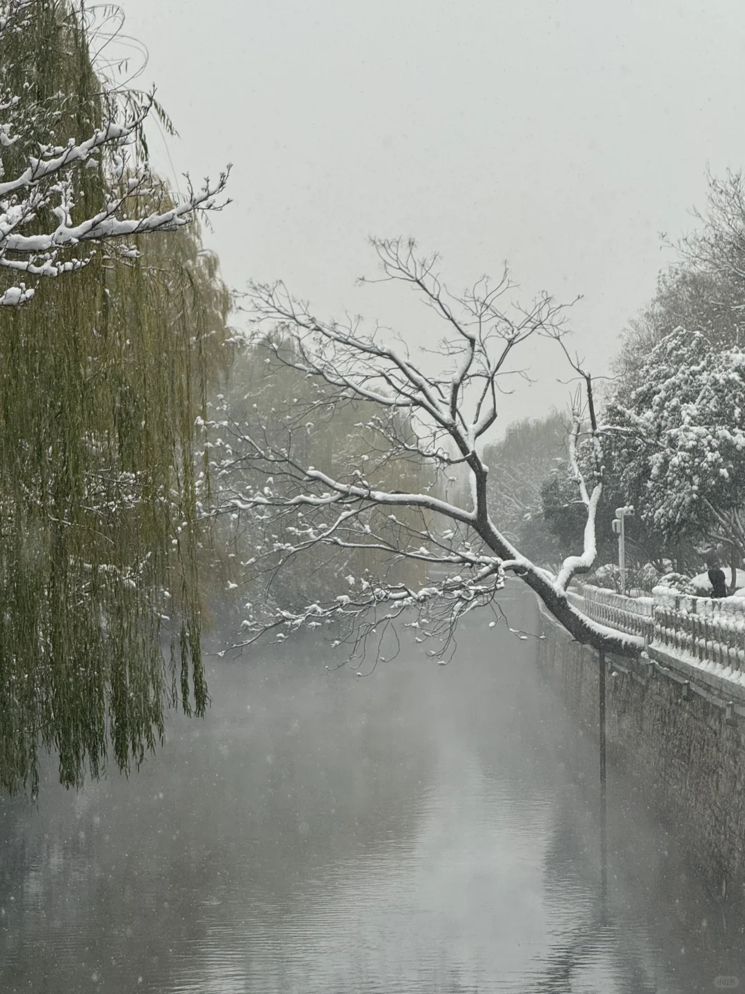 12🈷️13日，雪中的趵突泉实况live