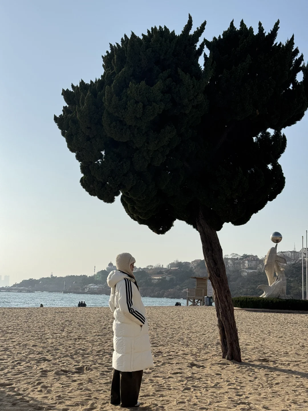 Live实况！青岛一日游citywalk🥹