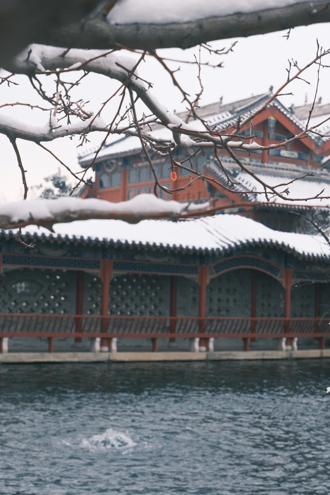 济南的初雪❄️⛲️