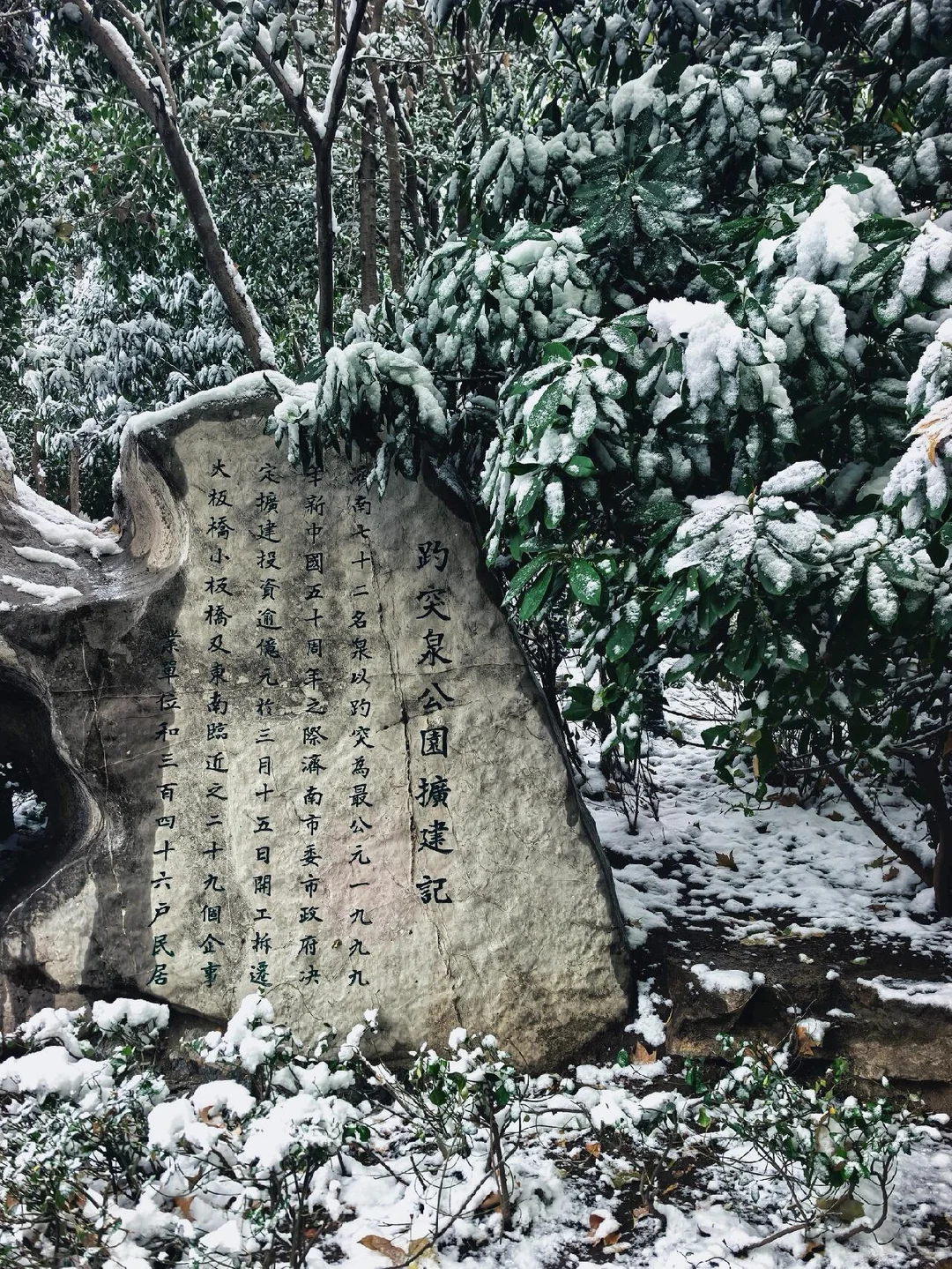 济南❤预报12月23号又要下雪喽～