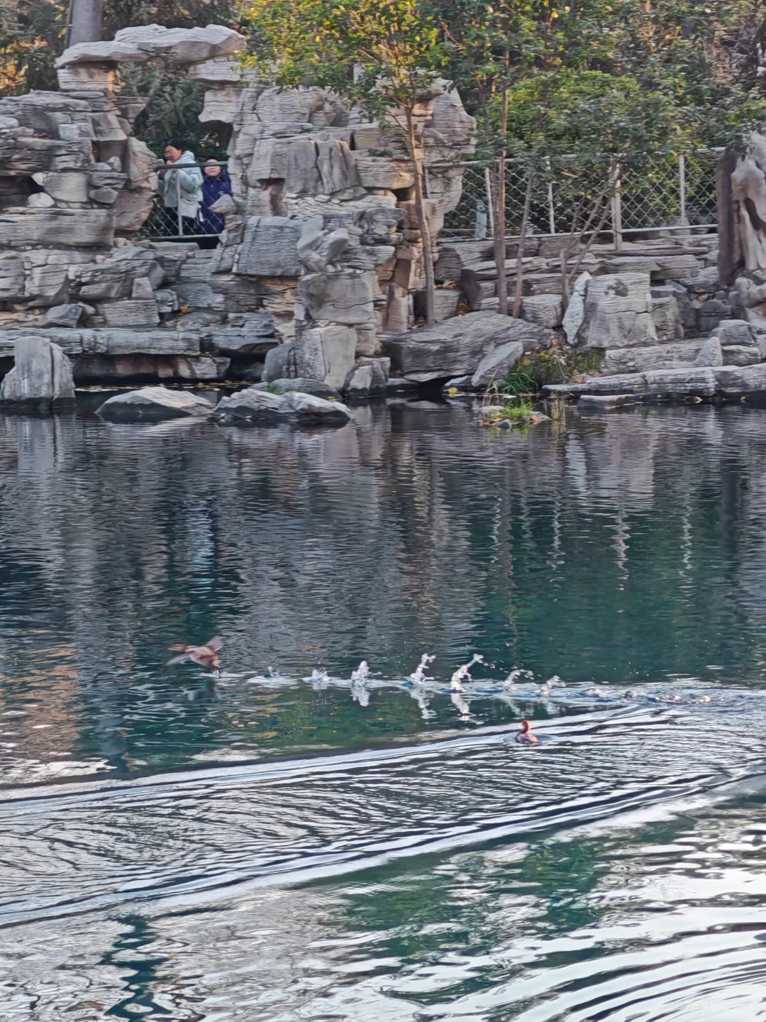 女大学生周末出发济南两天一夜省钱攻略