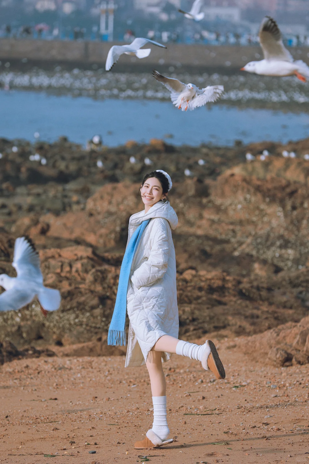 📍青岛栈桥实况❗️「海鸥季」快来拍美照📸