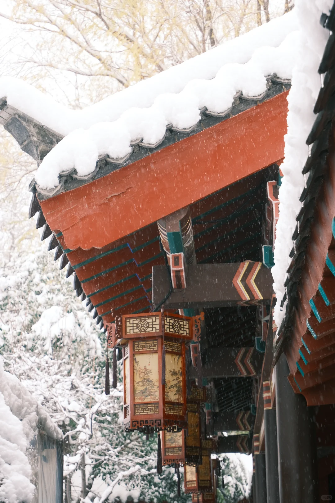 济南的初雪❄️⛲️