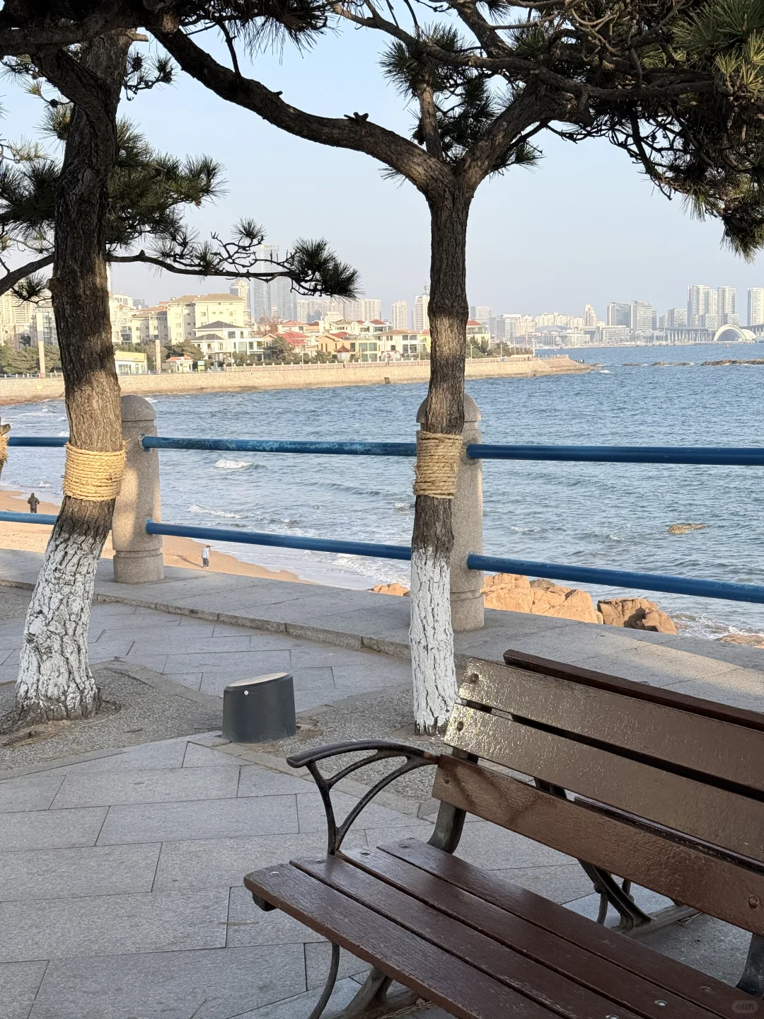 冬季的青岛一定要来！！