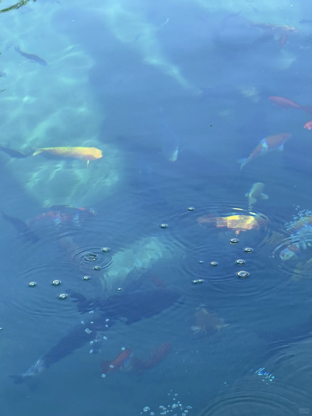 济南的冬天❄️明水古城美到原图直出