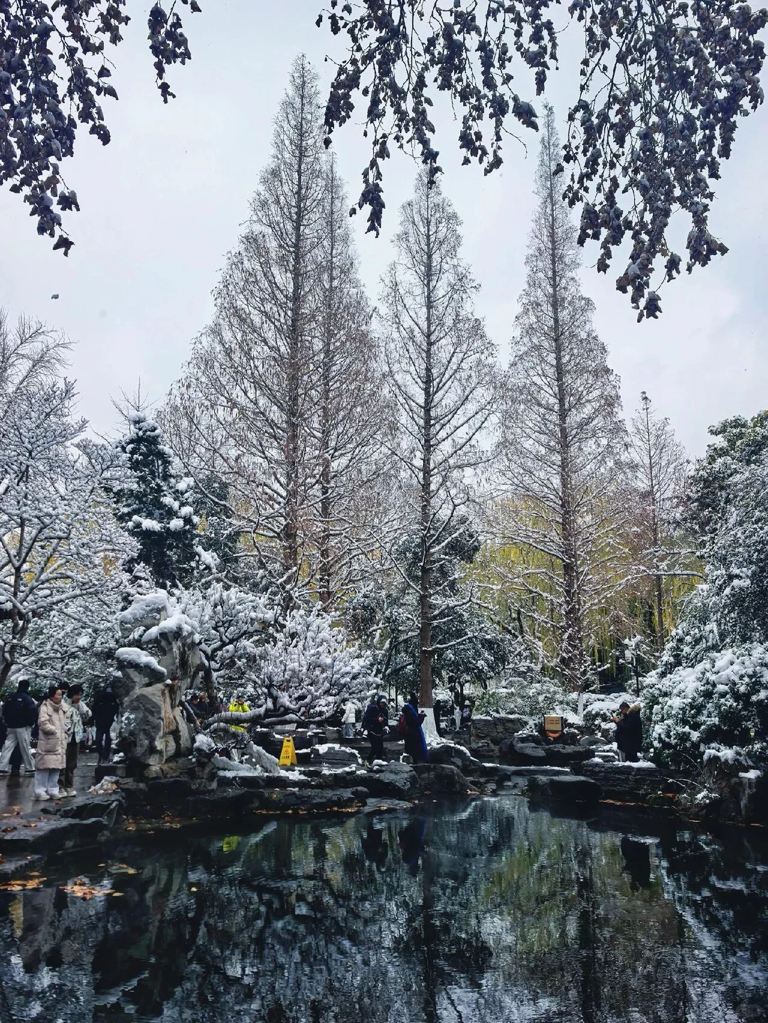 济南❤预报12月23号又要下雪喽～