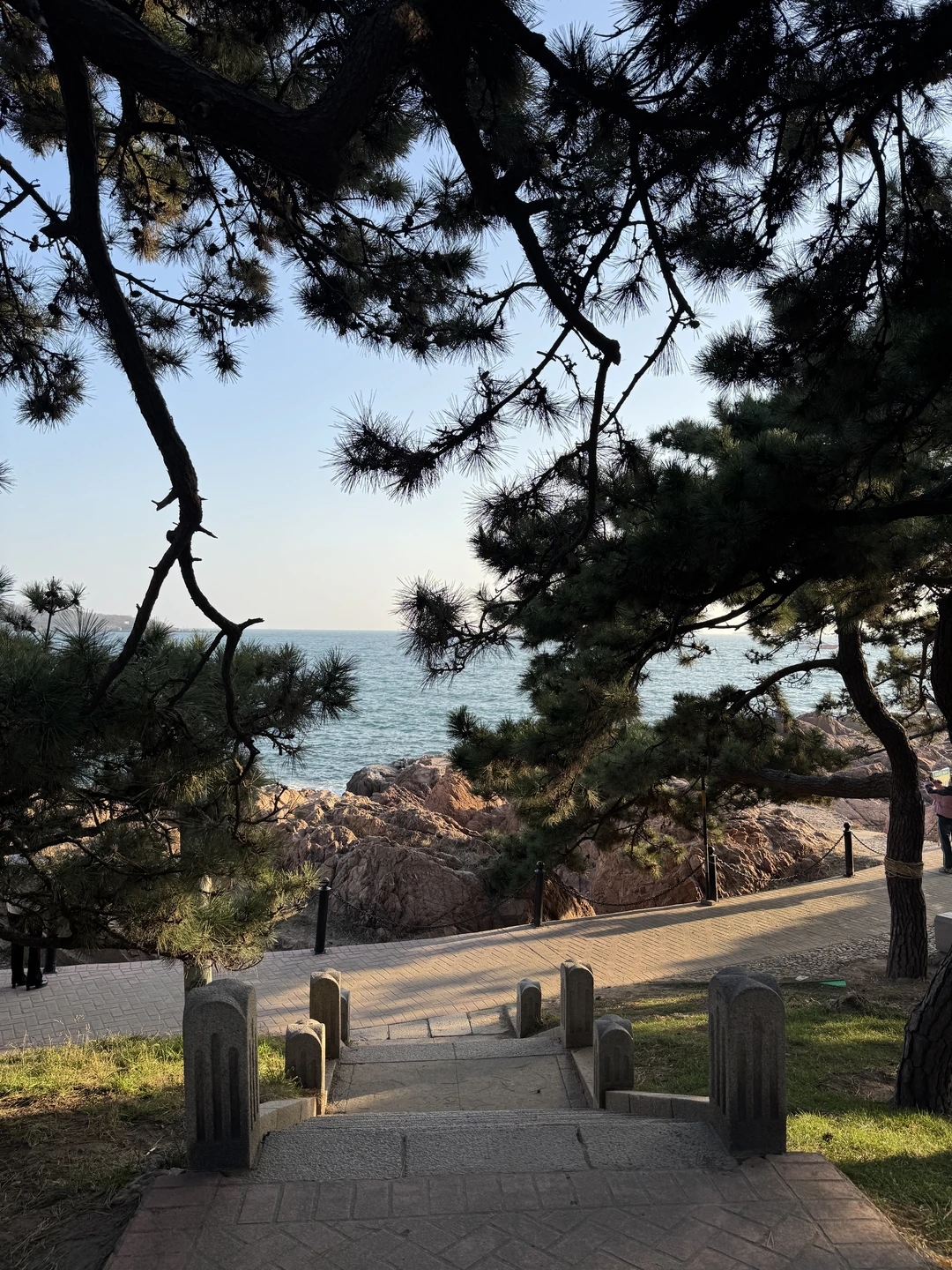 Live实况！青岛一日游citywalk🥹