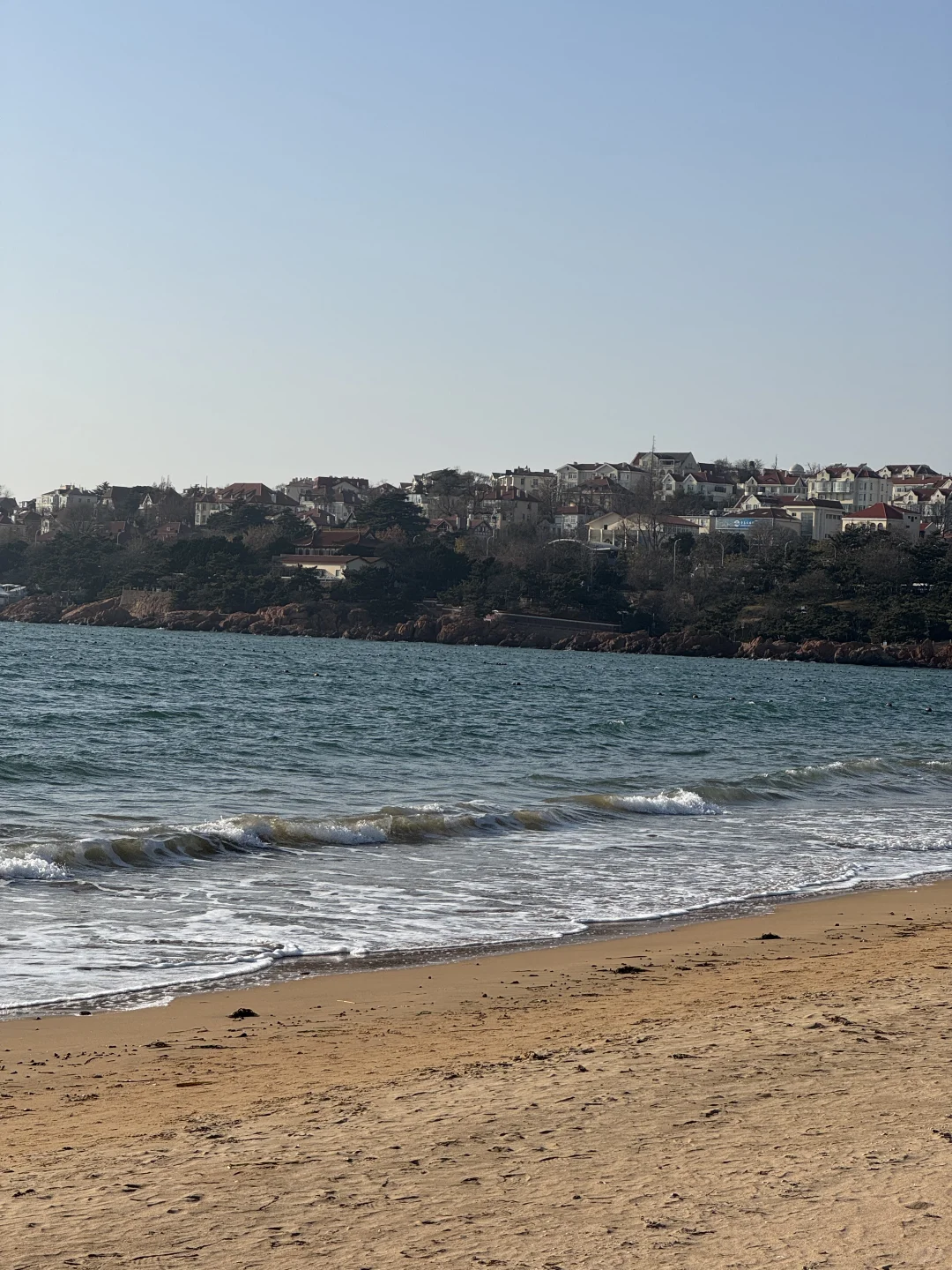 Live实况！青岛一日游citywalk🥹