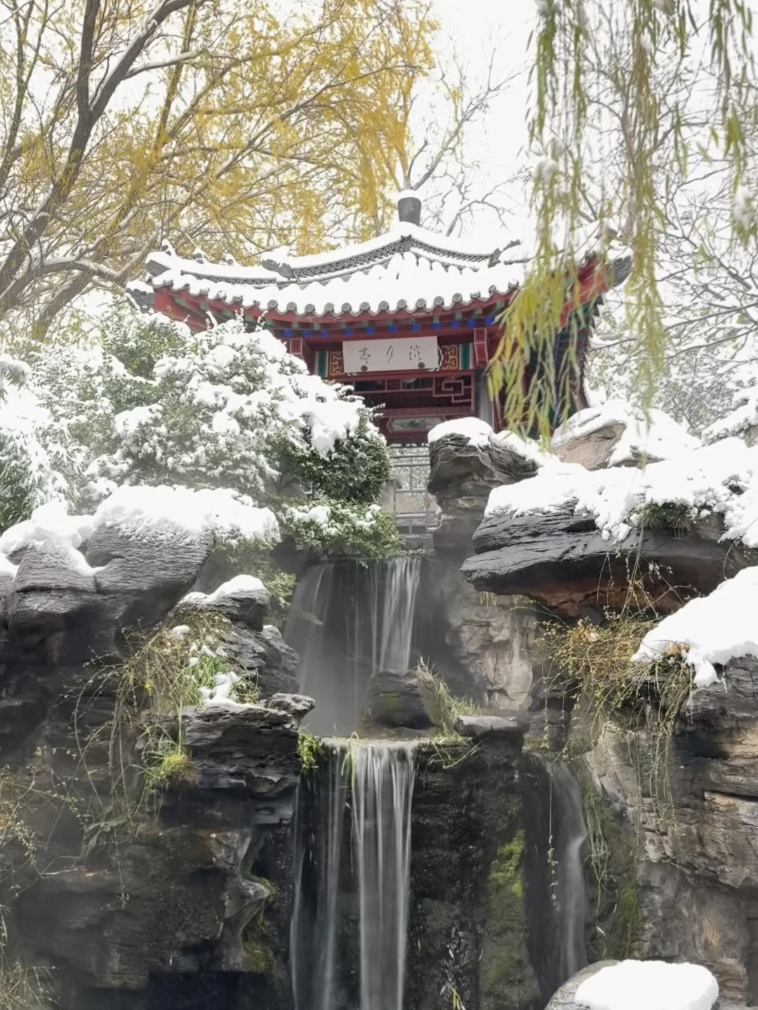 12🈷️13日，雪中的趵突泉实况live