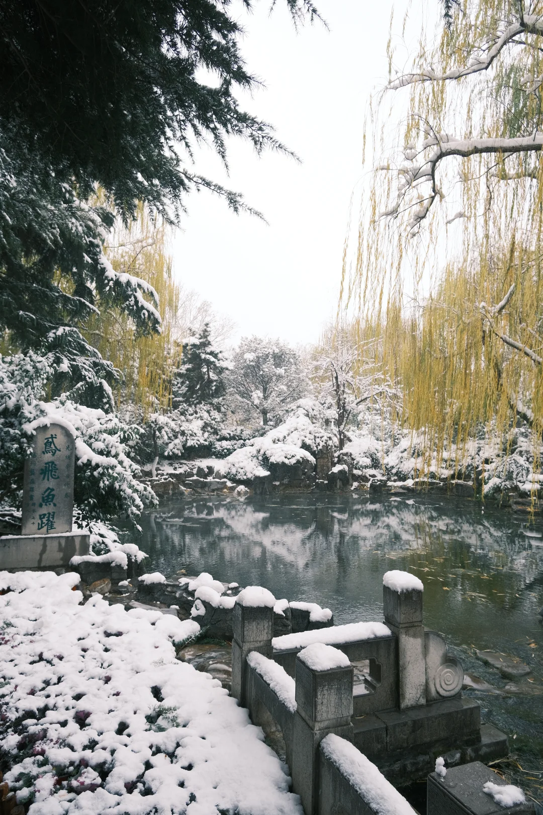 济南的初雪❄️⛲️