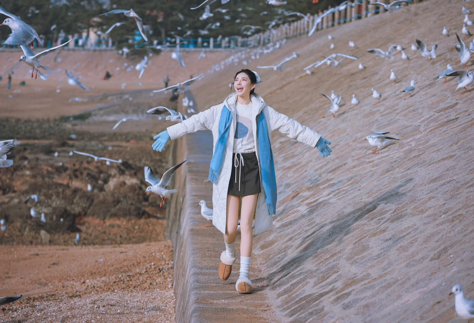📍青岛栈桥实况❗️「海鸥季」快来拍美照📸