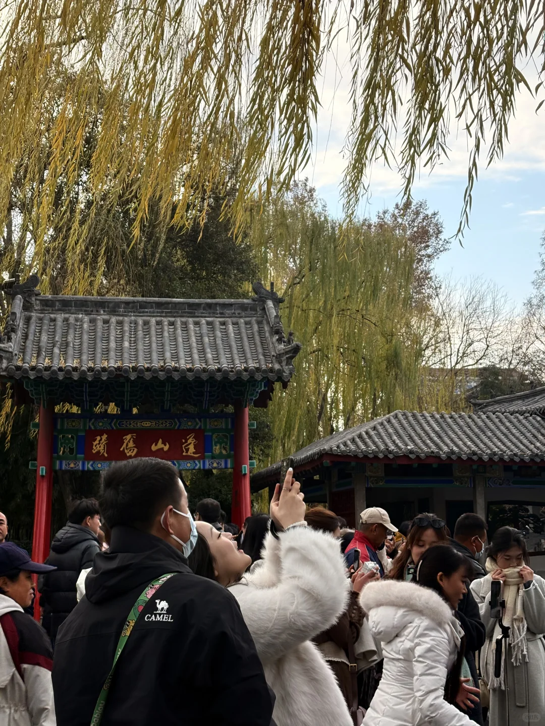 12.18 趵突泉实况记录📝