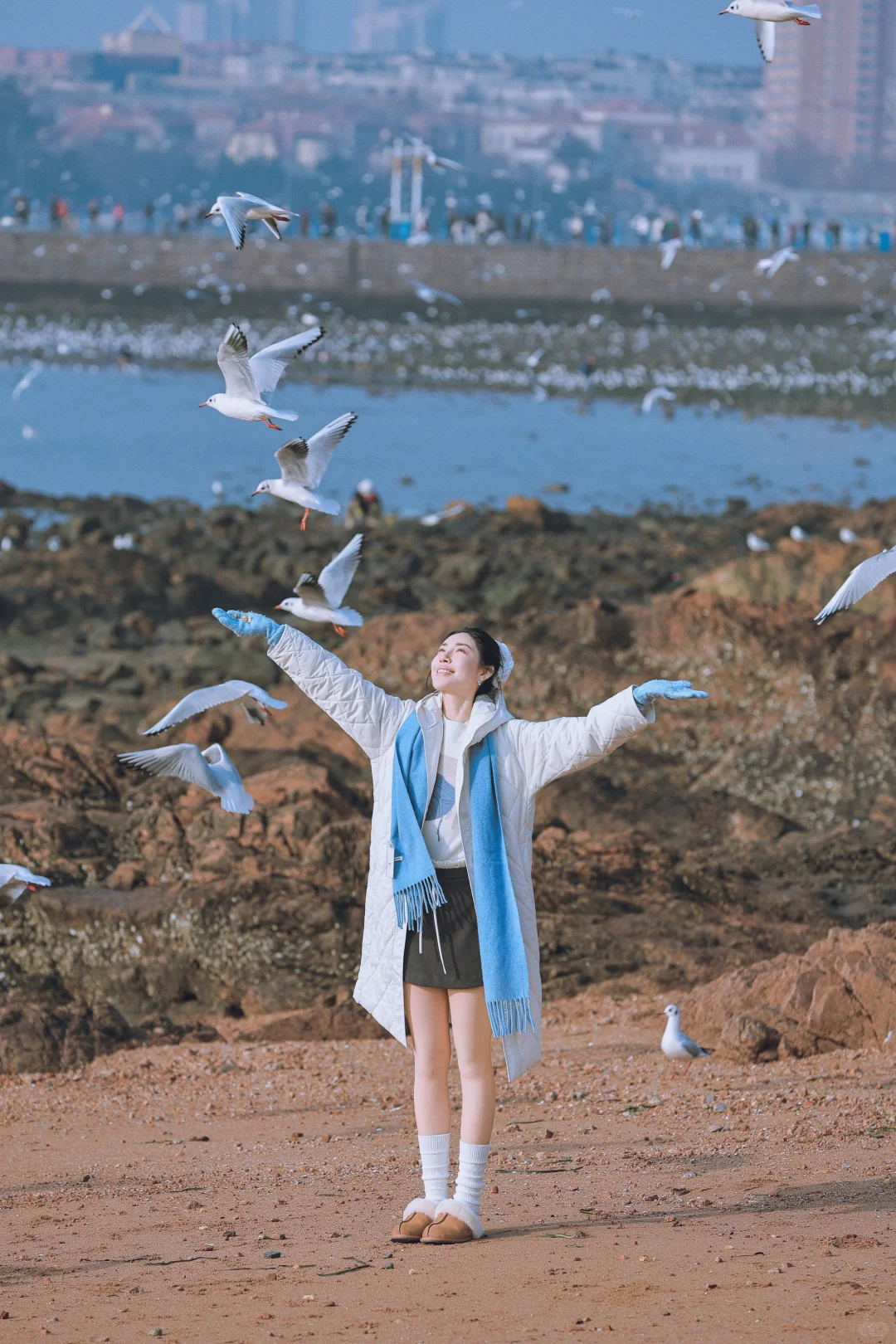 📍青岛栈桥实况❗️「海鸥季」快来拍美照📸