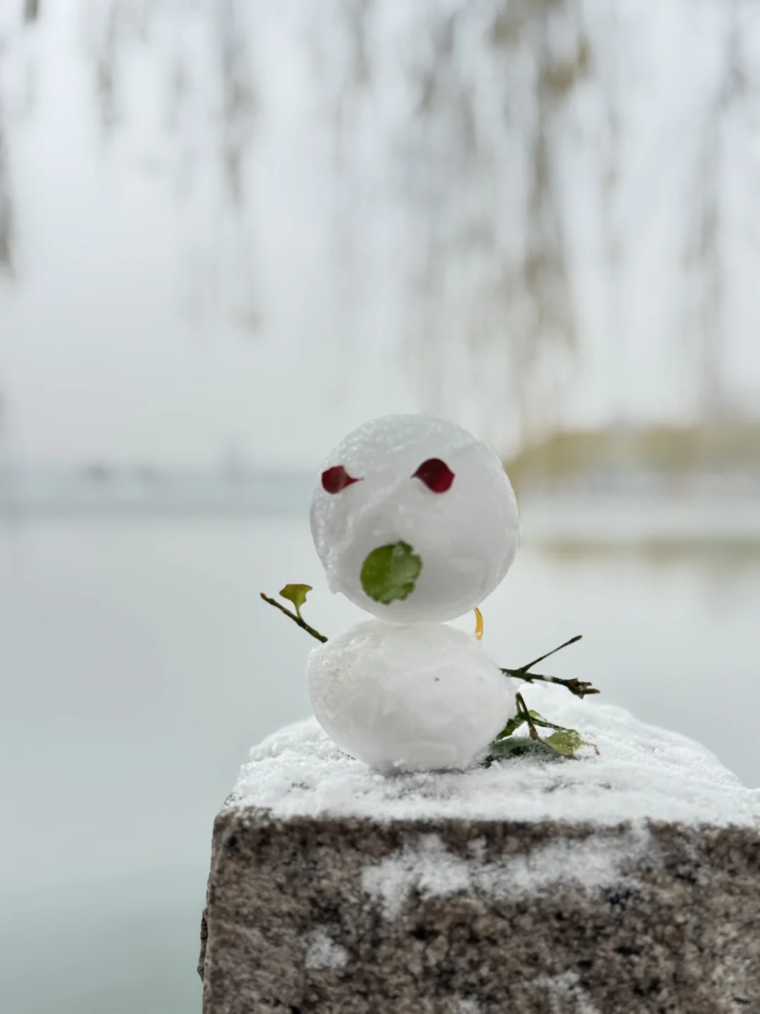 12🈷️13日，雪中的趵突泉实况live