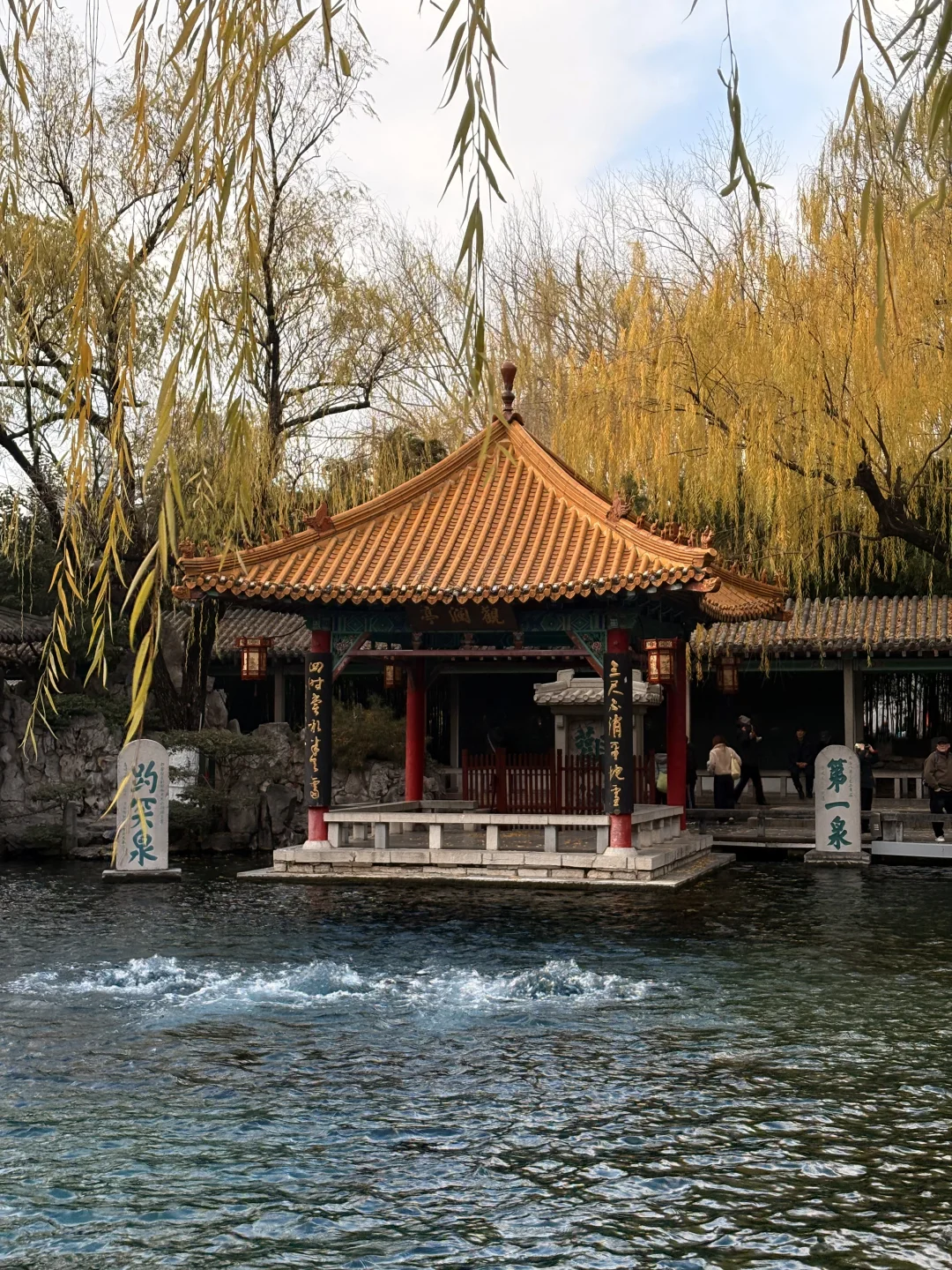 12.18 趵突泉实况记录📝