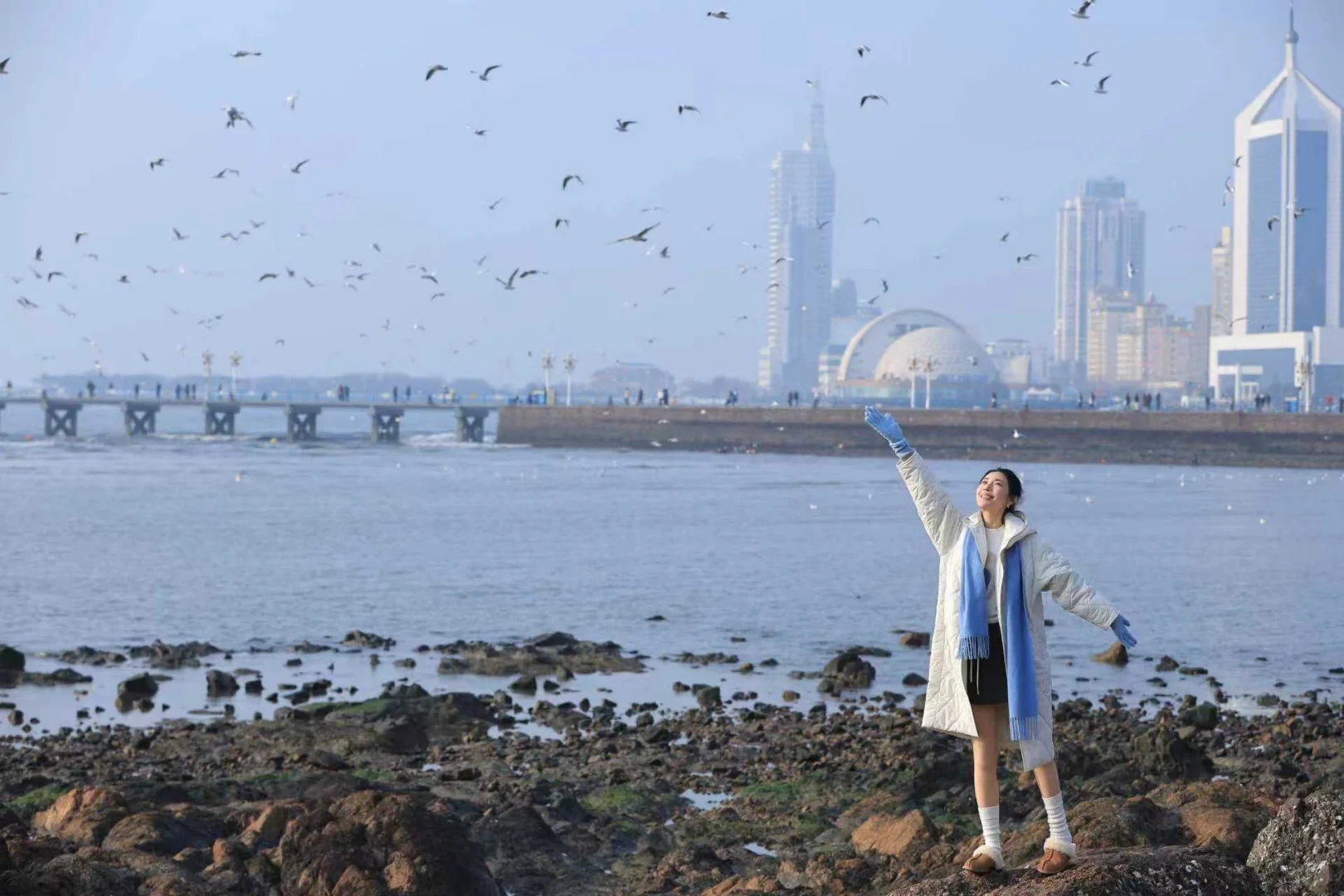 📍青岛栈桥实况❗️「海鸥季」快来拍美照📸