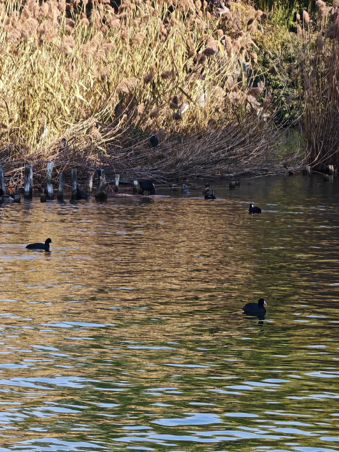 女大学生周末出发济南两天一夜省钱攻略