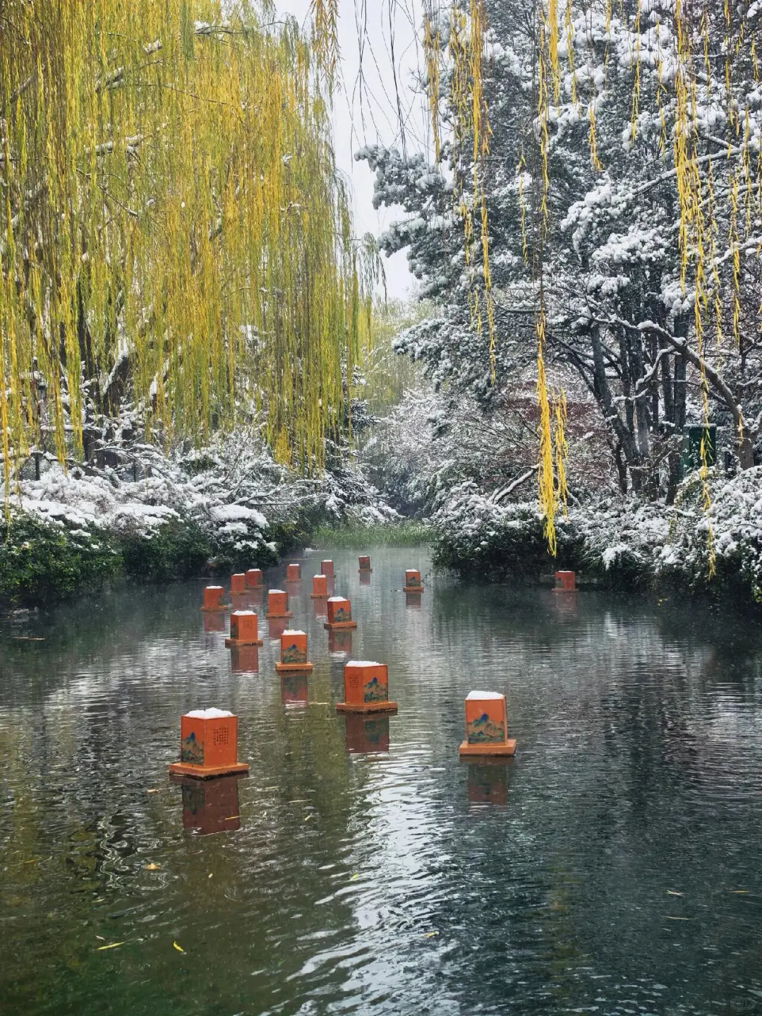 济南❤预报12月23号又要下雪喽～