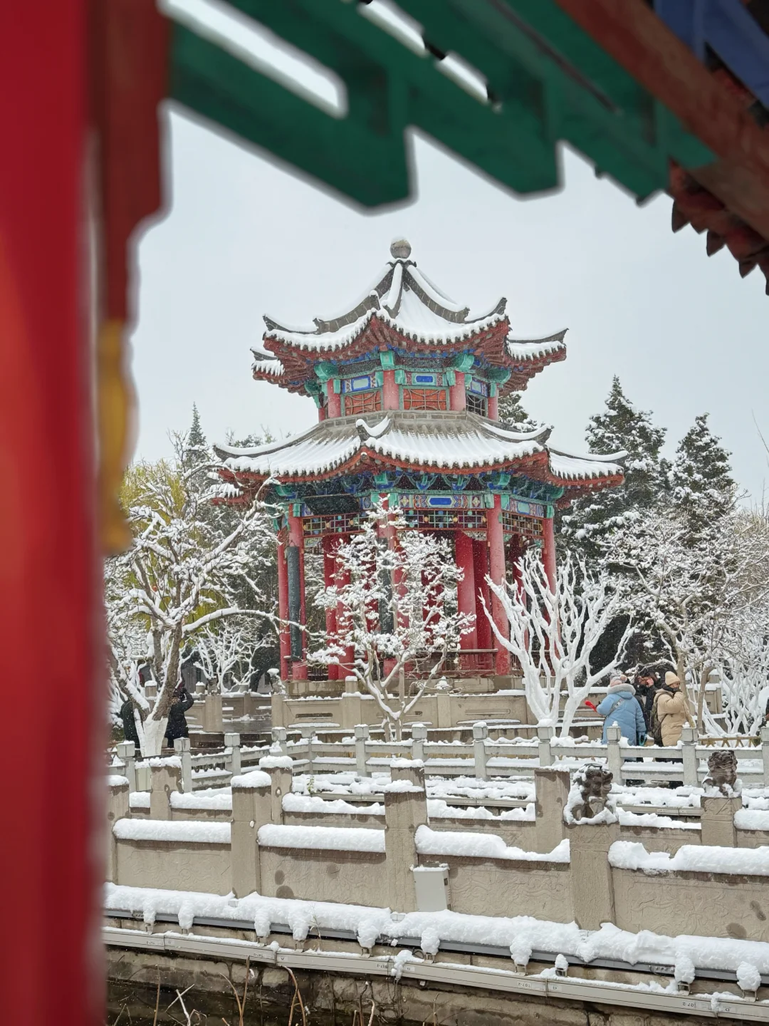 12🈷️13日，雪中的趵突泉实况live