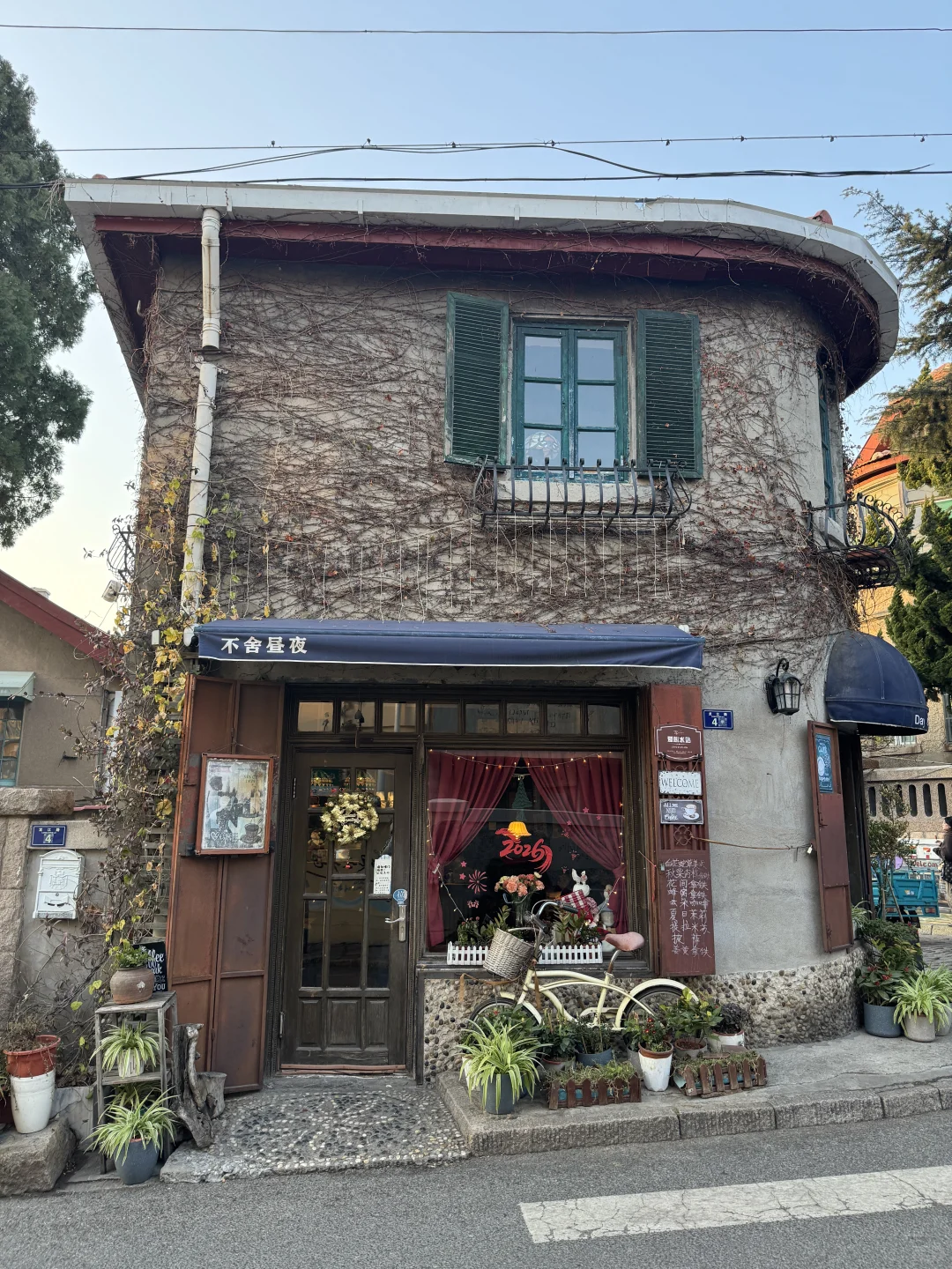 Live实况！青岛一日游citywalk🥹