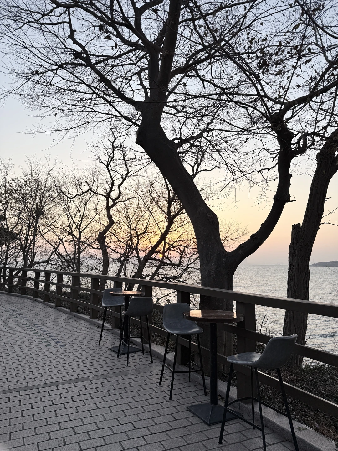 冬季的青岛一定要来！！