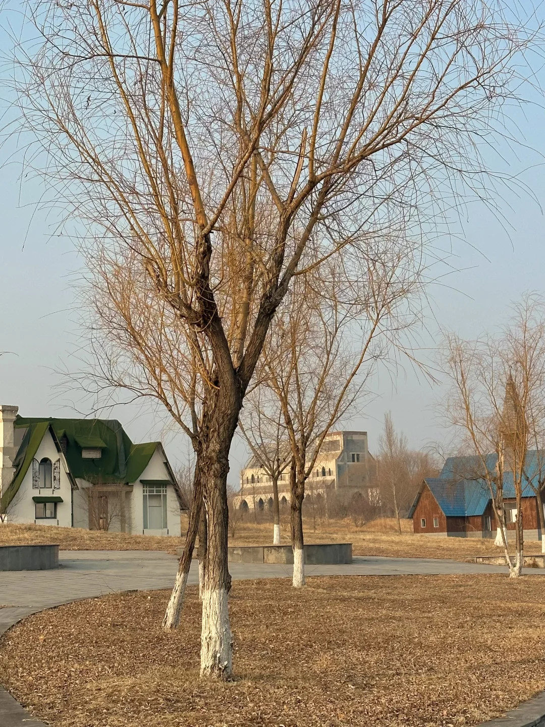 济南无成本最特别拍照地！！废墟之地🟤！！！