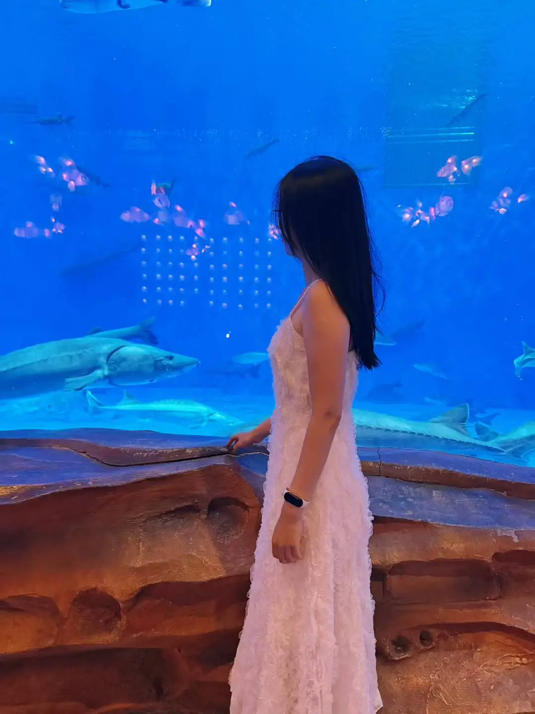 山东济南找男朋友（一起跨年版）