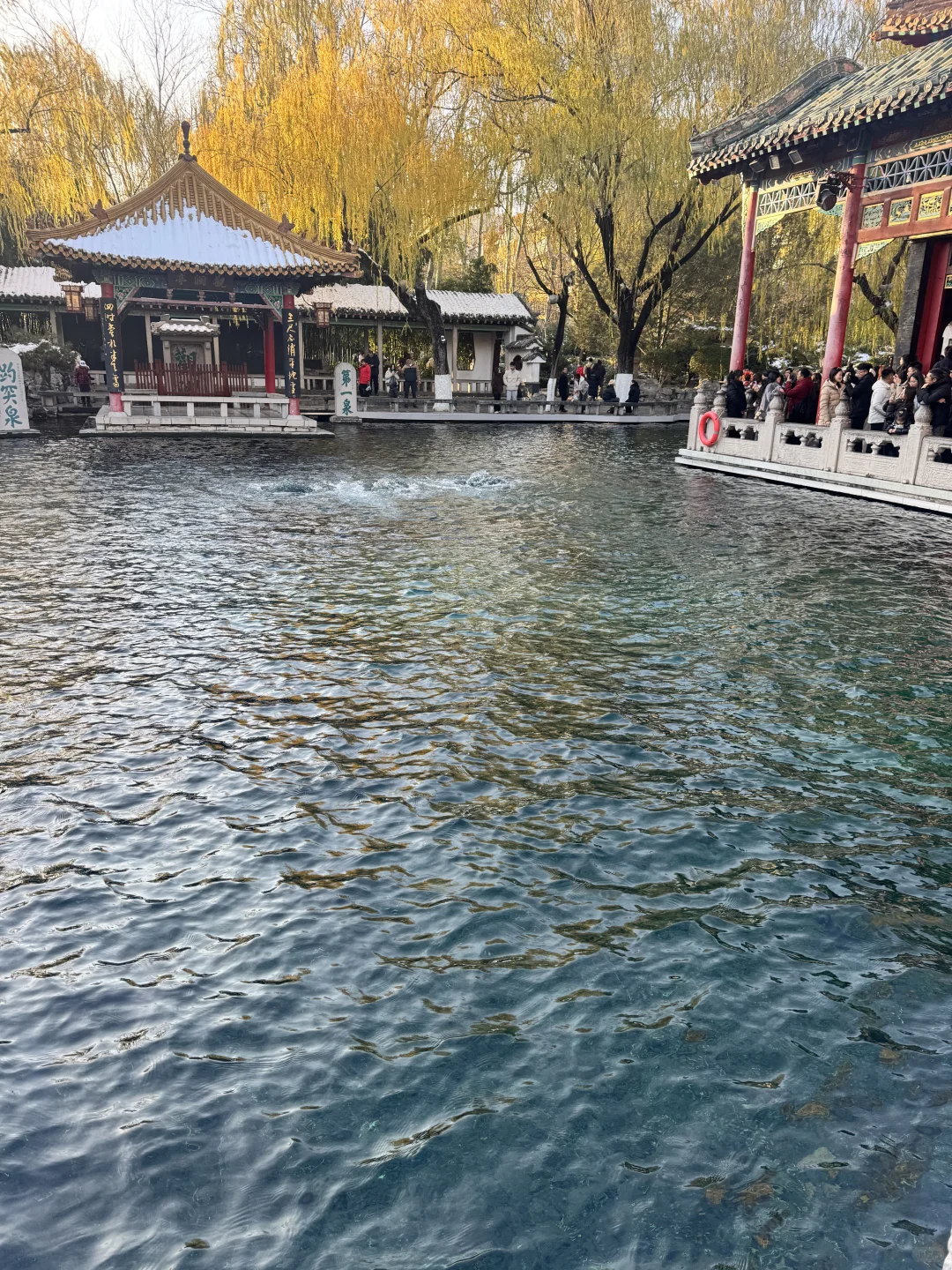 地陪日记|逛雪后的济南