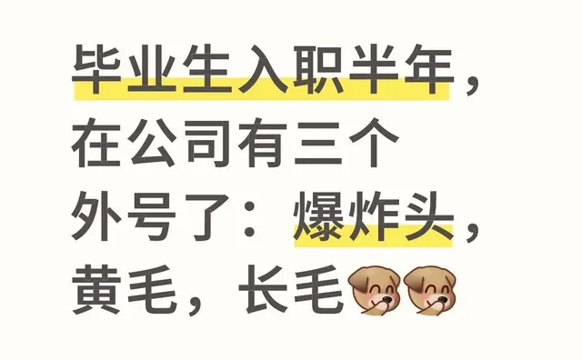 毕业生入职半年，在公司有三个外号了：爆炸头，黄毛，长毛[捂嘴笑R][捂嘴笑R]