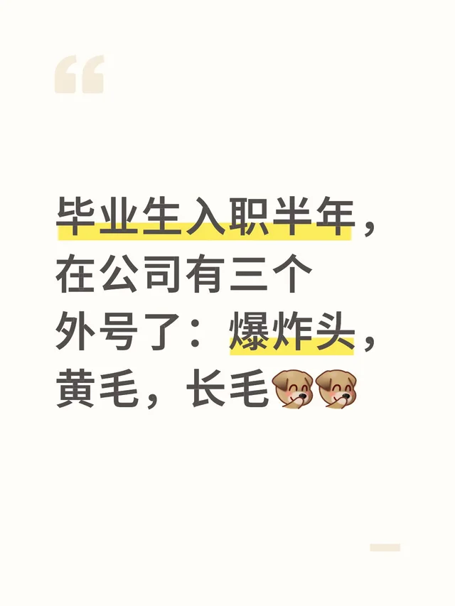 毕业生入职半年，在公司有三个外号了：爆炸头，黄毛，长毛[捂嘴笑R][捂嘴笑R]