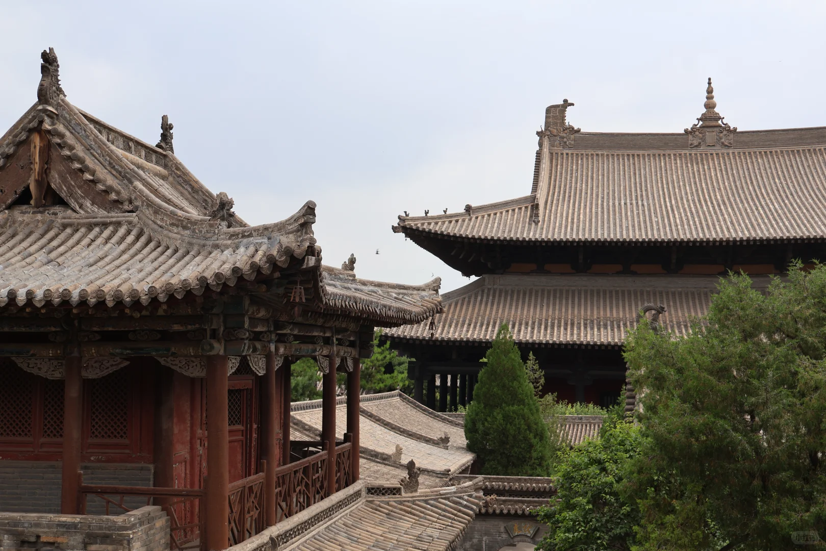 大同好 大同值得