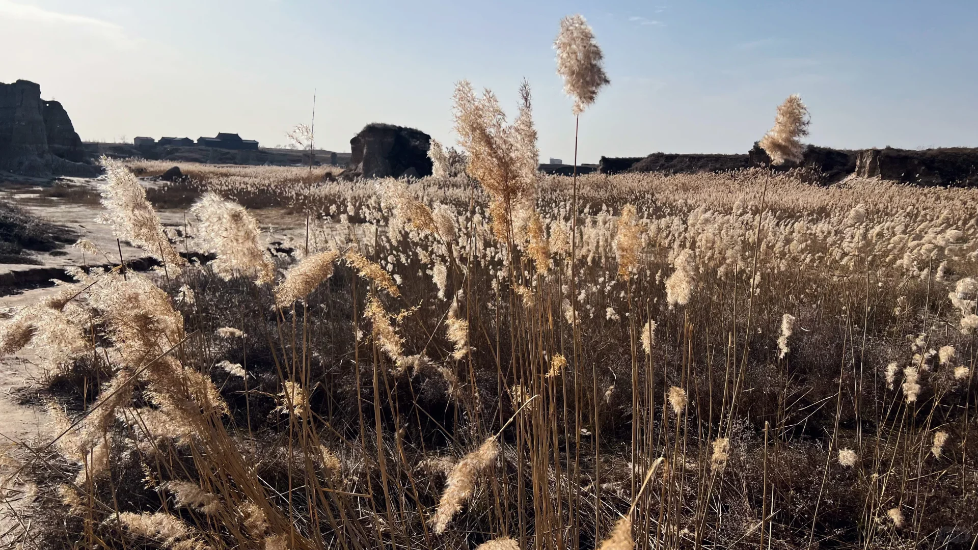 大同这么有意思的景区，怎么没人