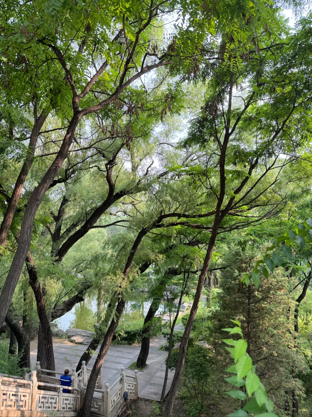 大同好 大同值得