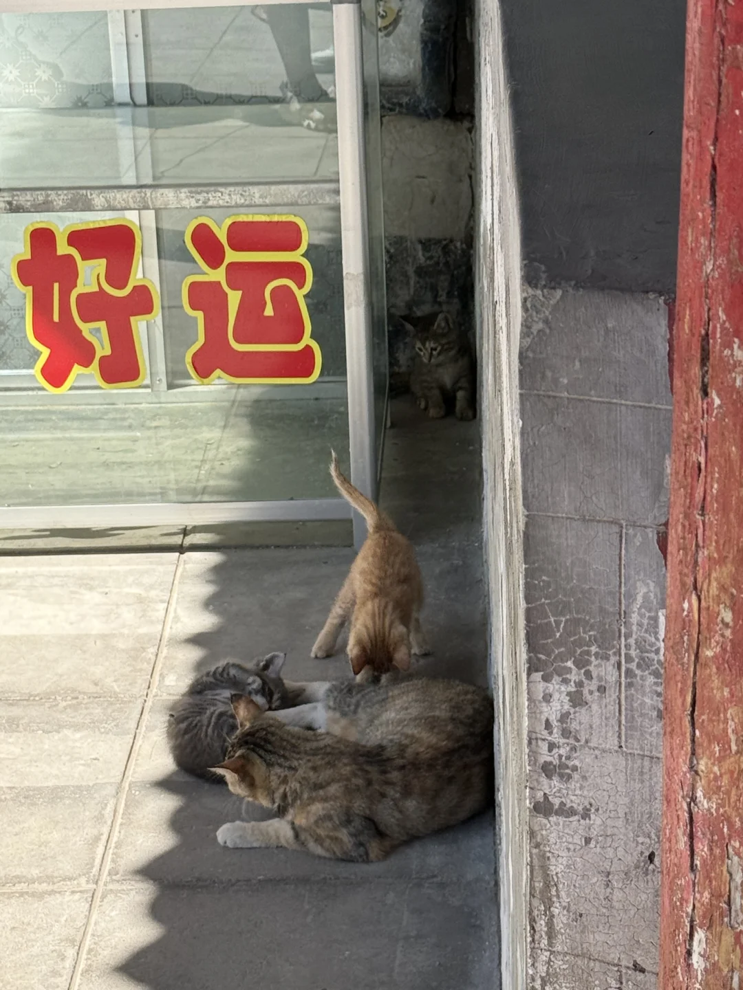 大同好 大同值得