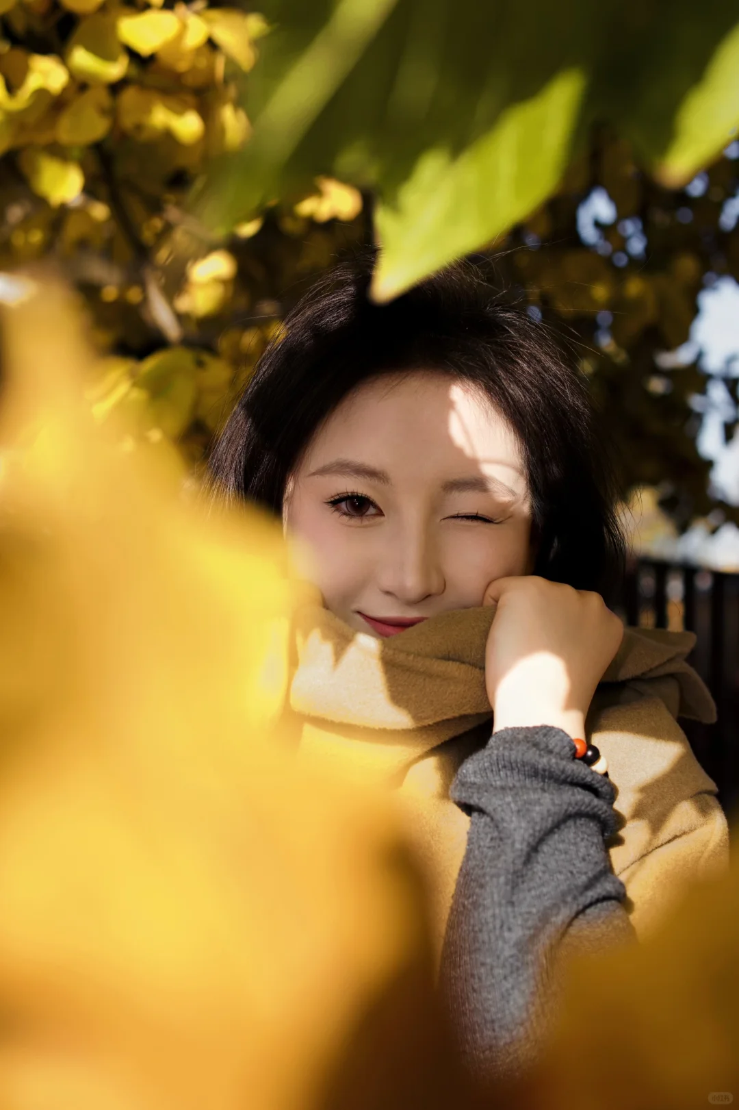 长治的秋天太美啦！🍂