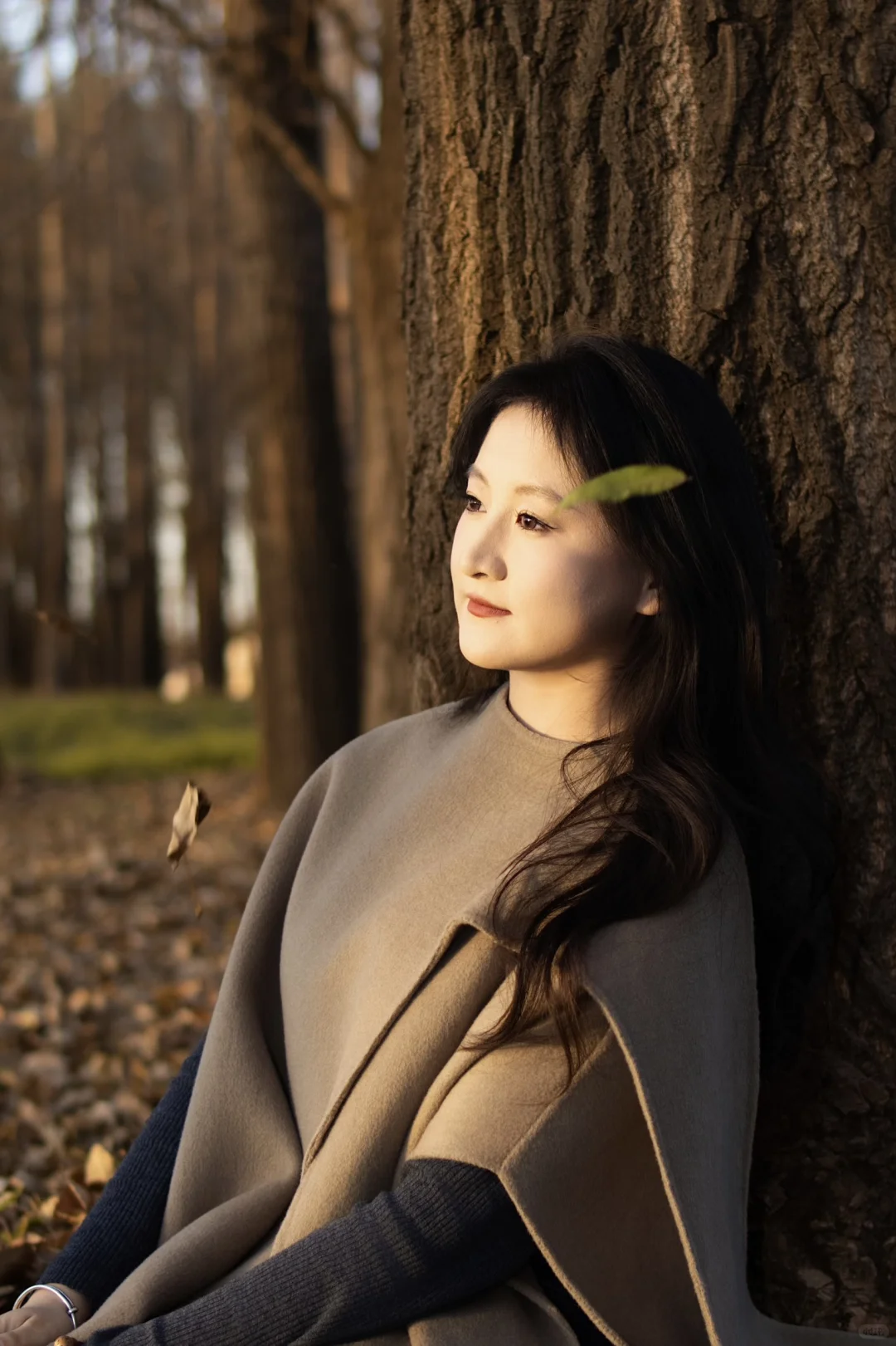 长治的秋天太美啦！🍂