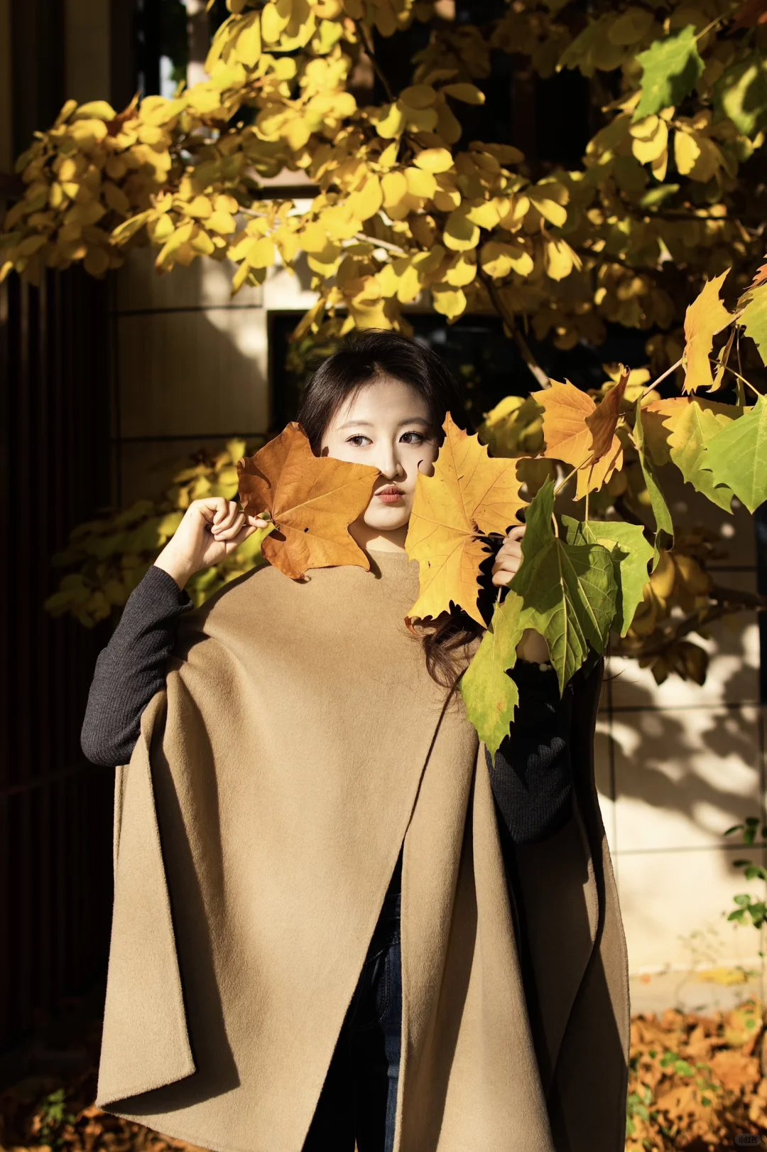 长治的秋天太美啦！🍂