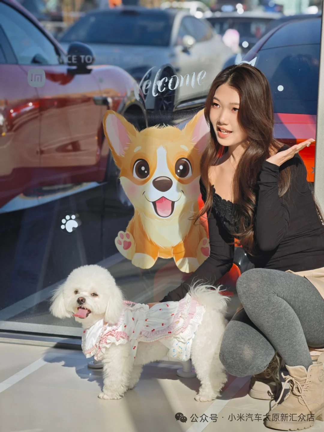 【太原限定·毛孩子的看车特权】