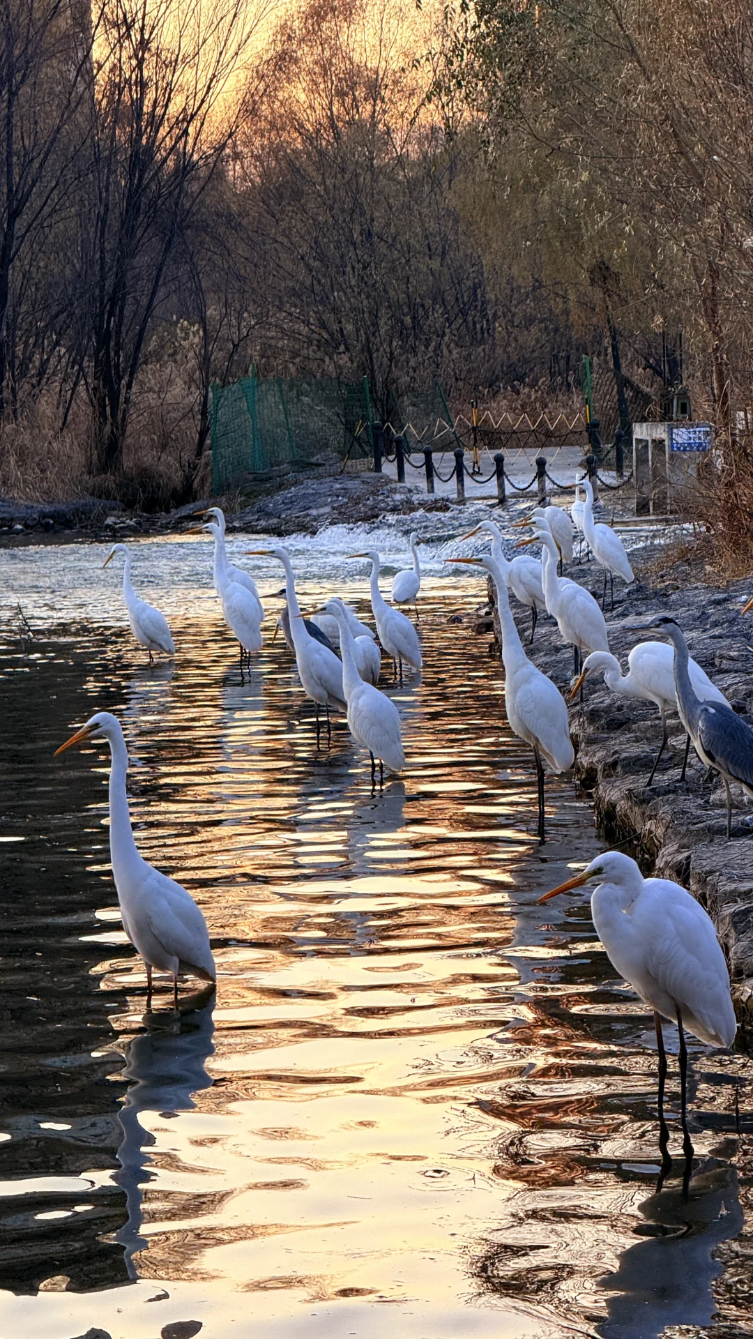 太美了！在太原为一场日落和万鸟归巢疯狂心