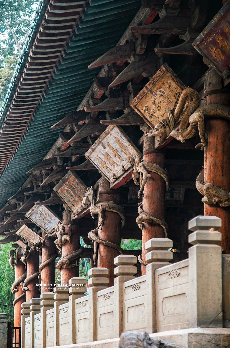 为了这18张照片📷我又双叒去了次山西太原