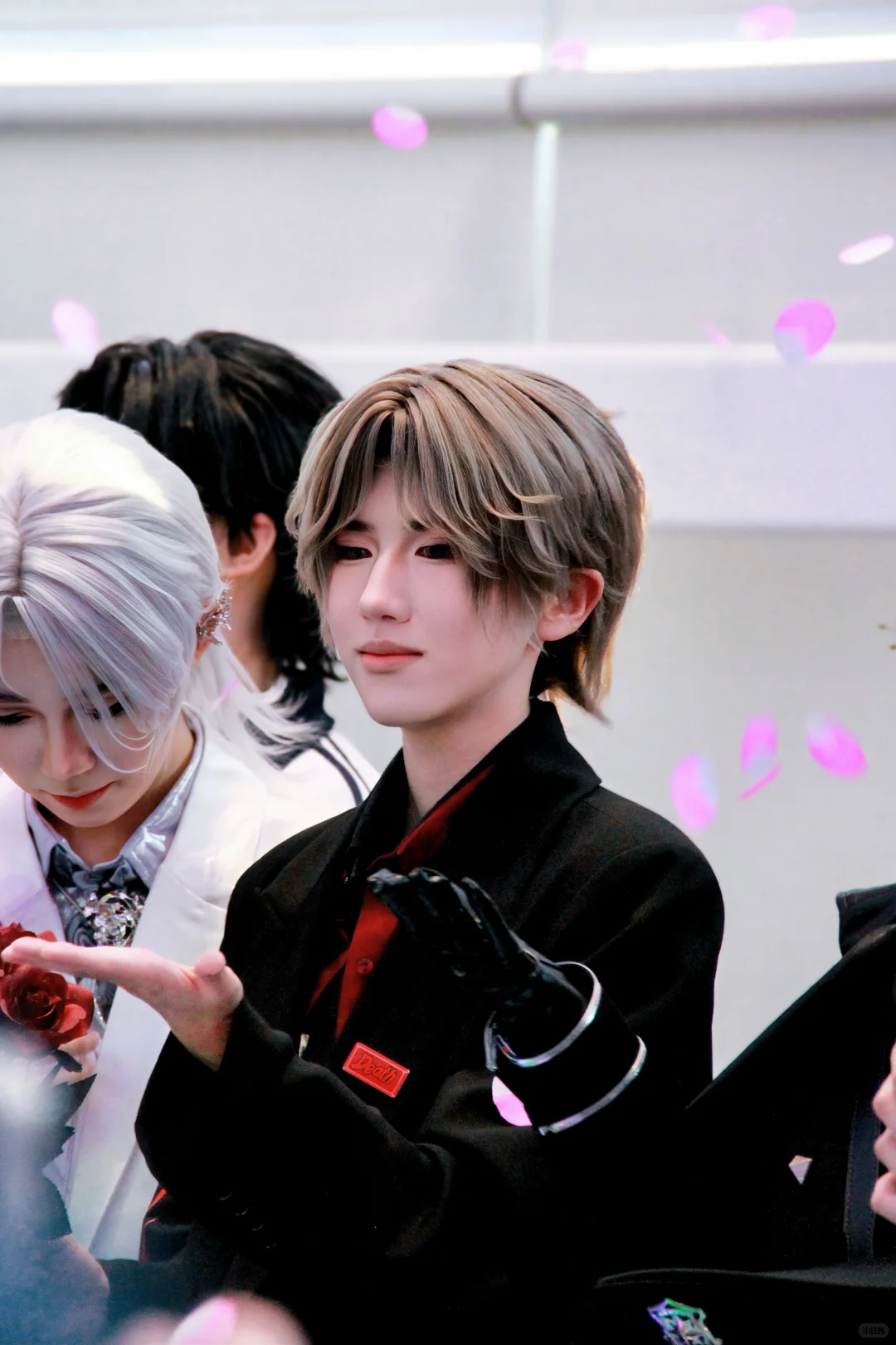 想回太原 求宠👍