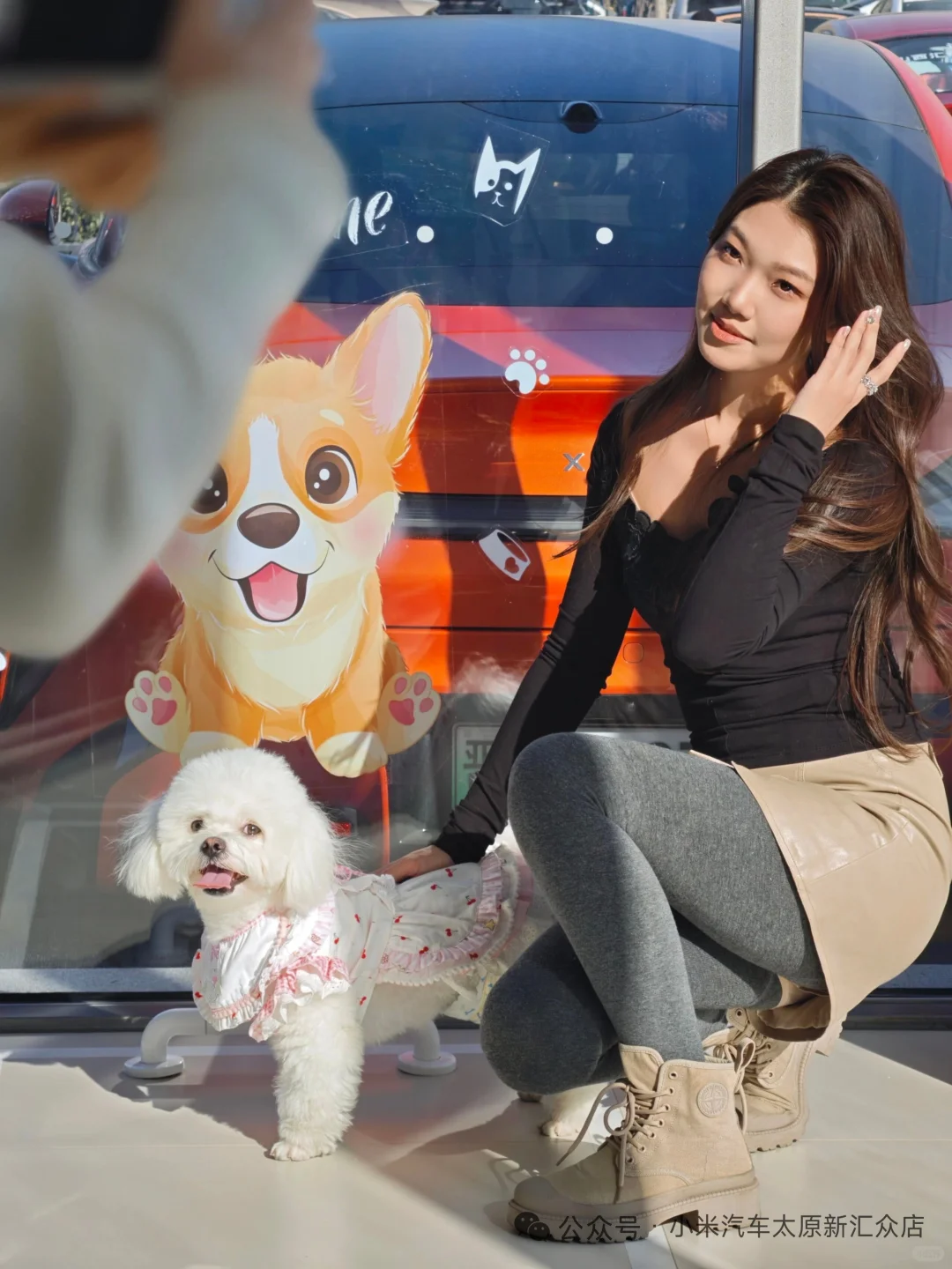 【太原限定·毛孩子的看车特权】