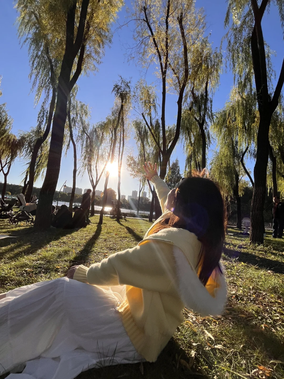 太原森林公园躺平实录｜阳光是最好的滤镜