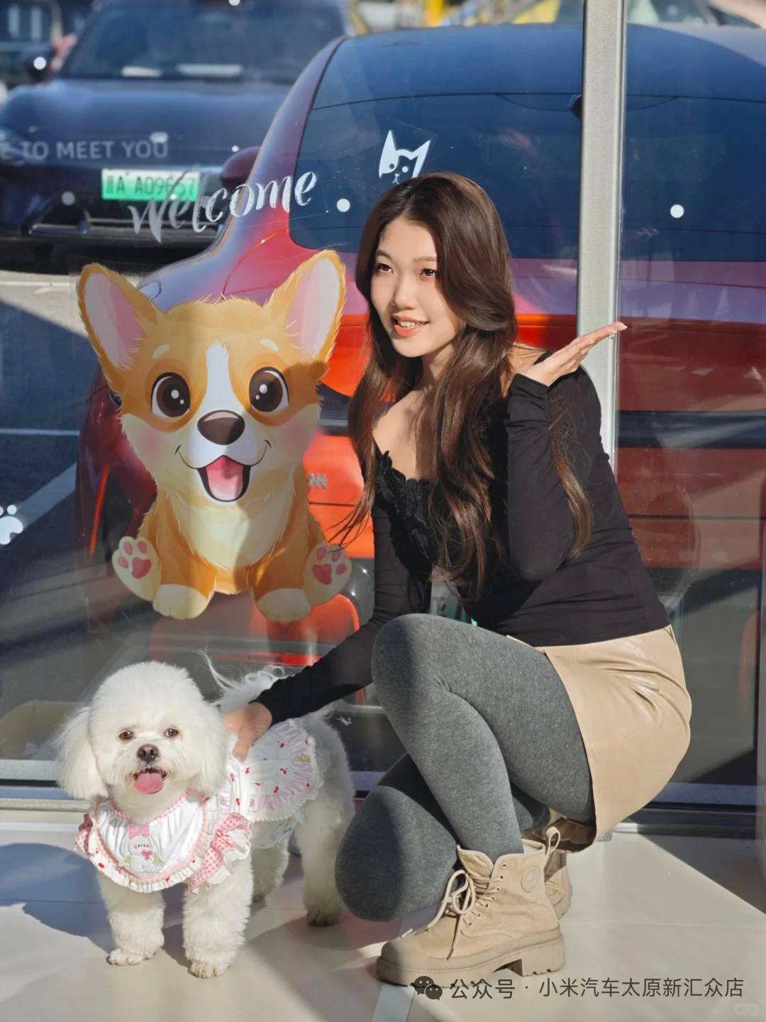 【太原限定·毛孩子的看车特权】