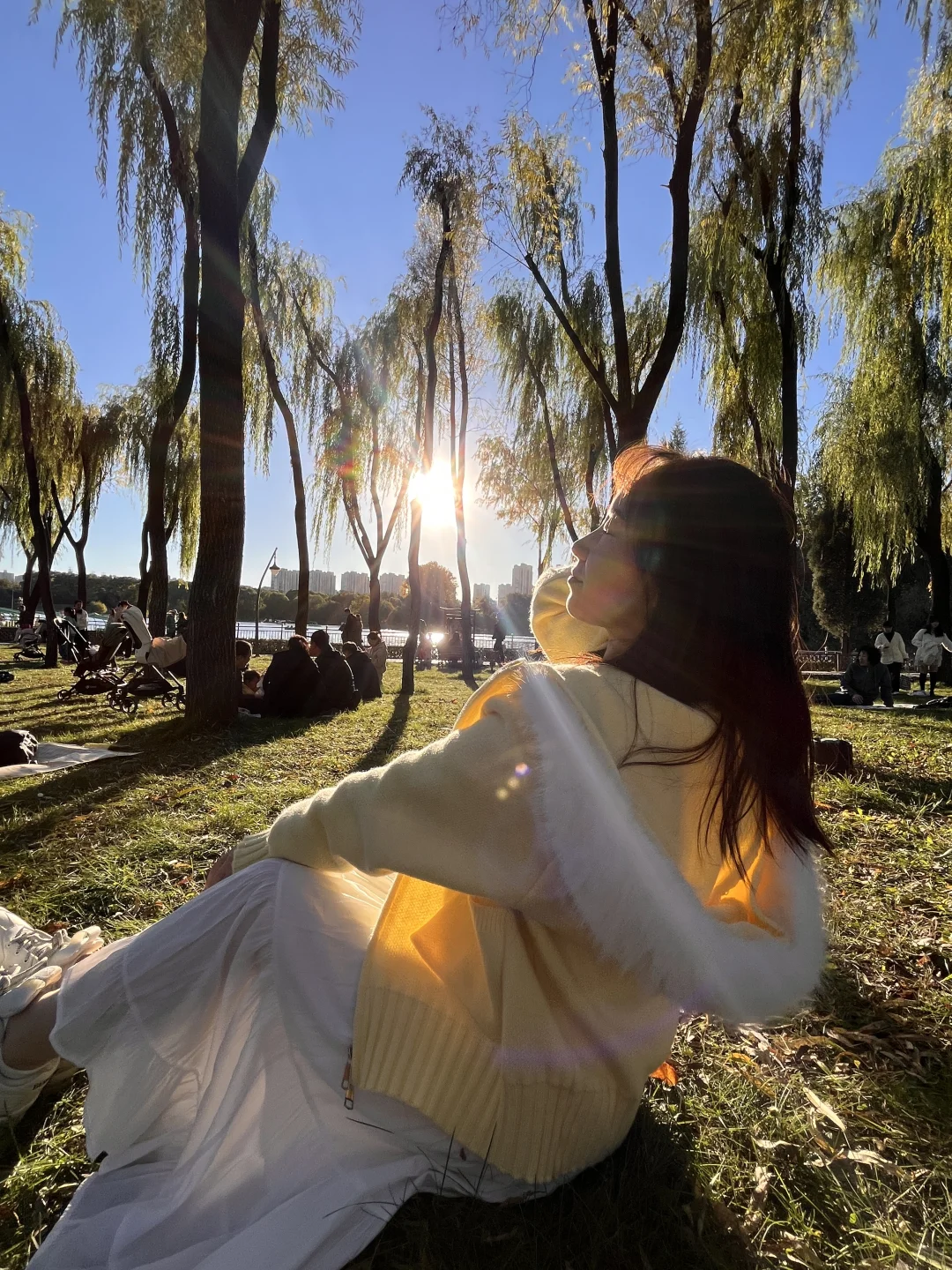 太原森林公园躺平实录｜阳光是最好的滤镜