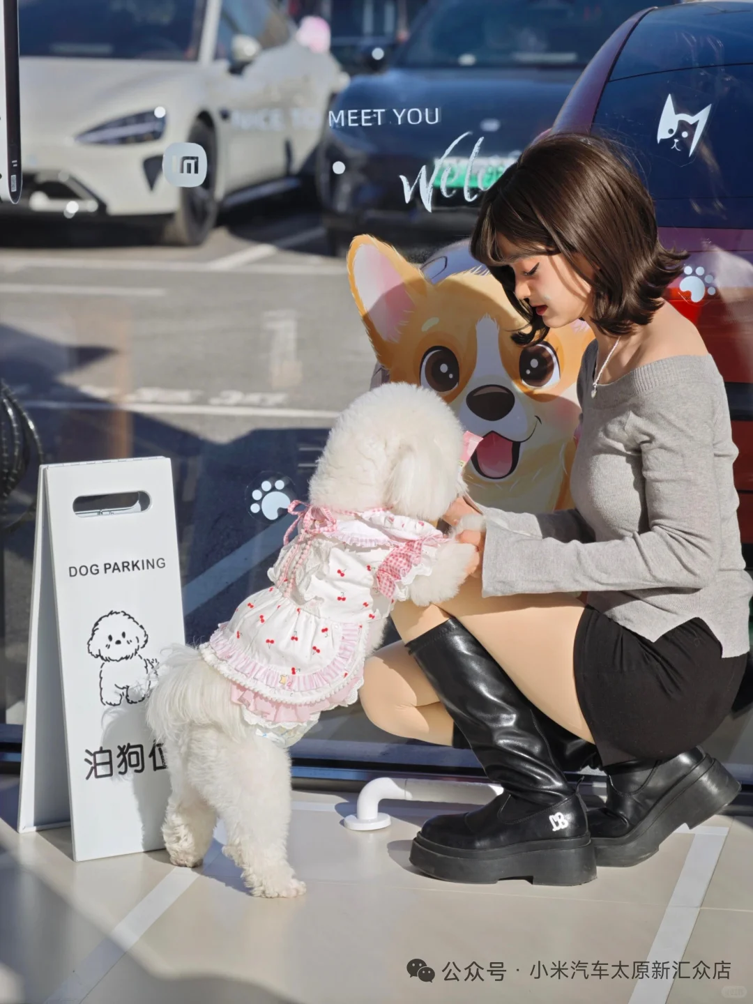 【太原限定·毛孩子的看车特权】