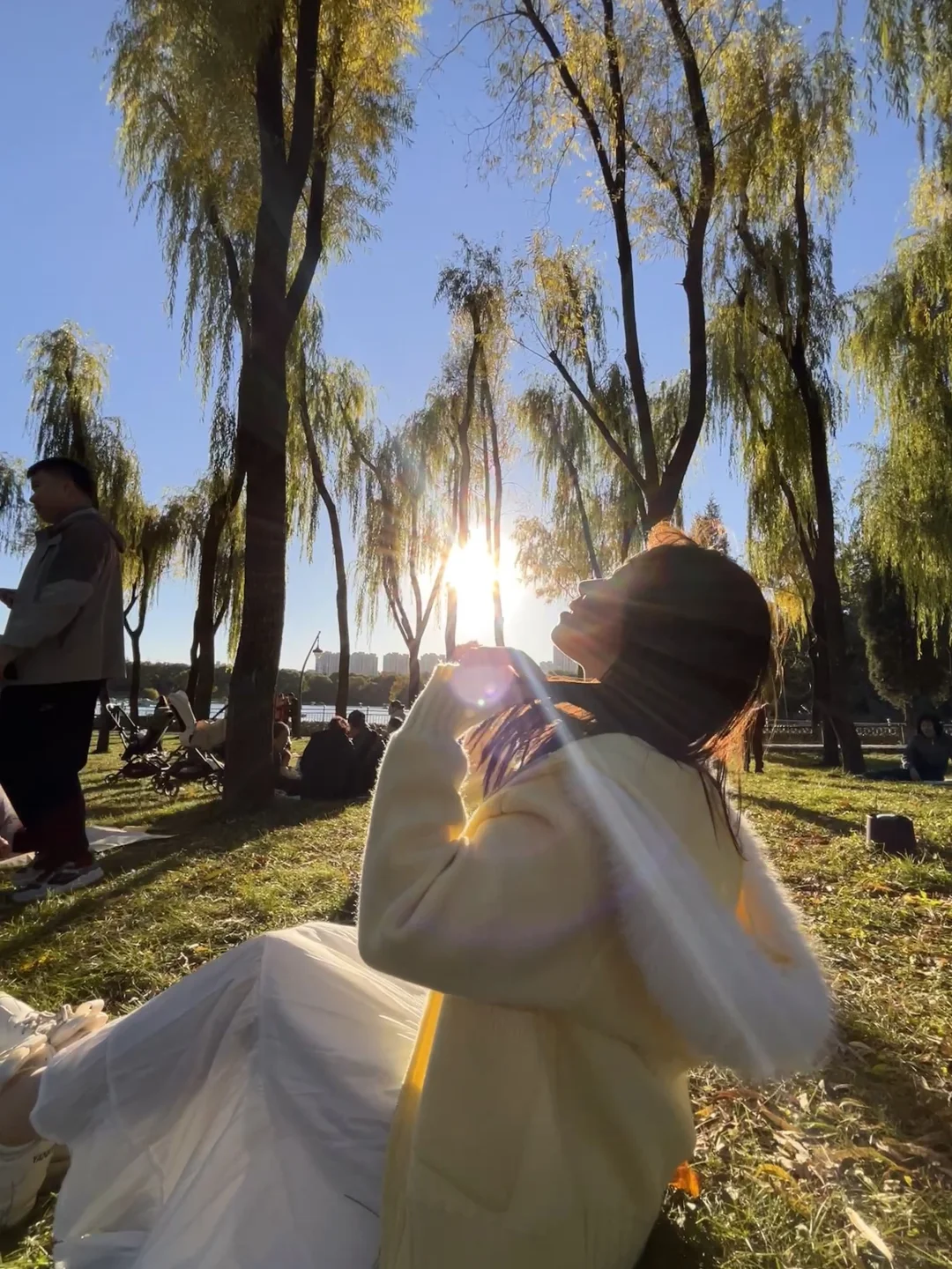 太原森林公园躺平实录｜阳光是最好的滤镜