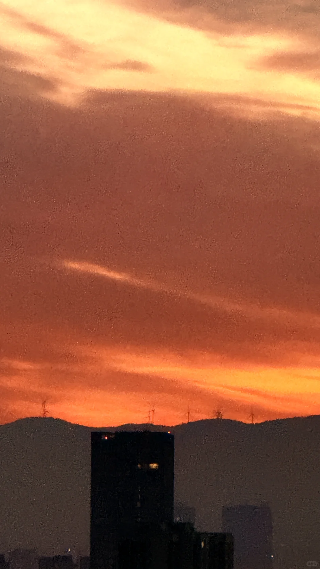 11.20太原｜凌晨6点半朝霞大爆发，美疯啦🔥