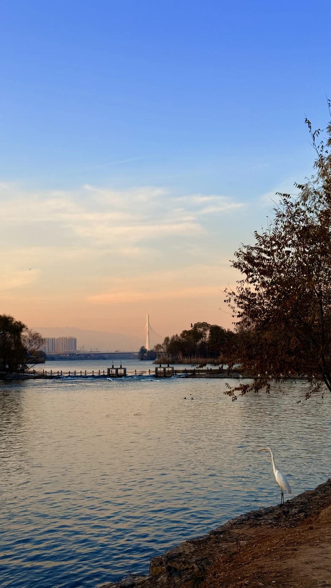 太美了！在太原为一场日落和万鸟归巢疯狂心